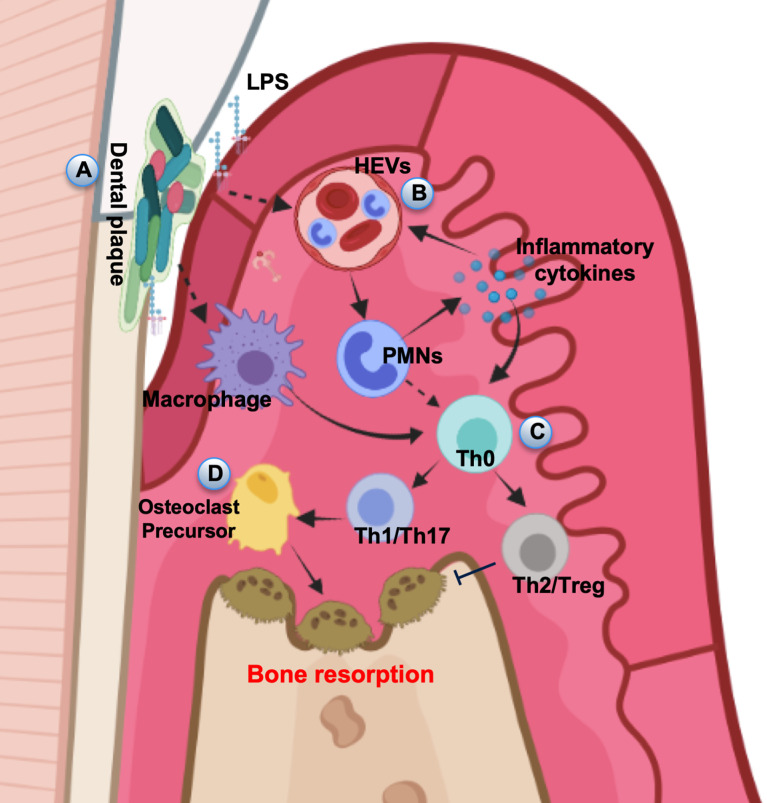 Figure 1