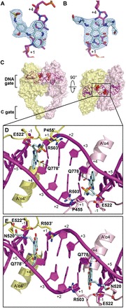 Figure 2.