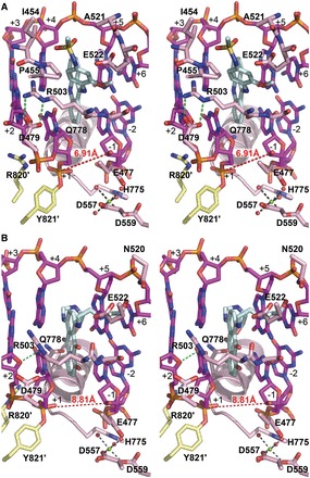 Figure 3.