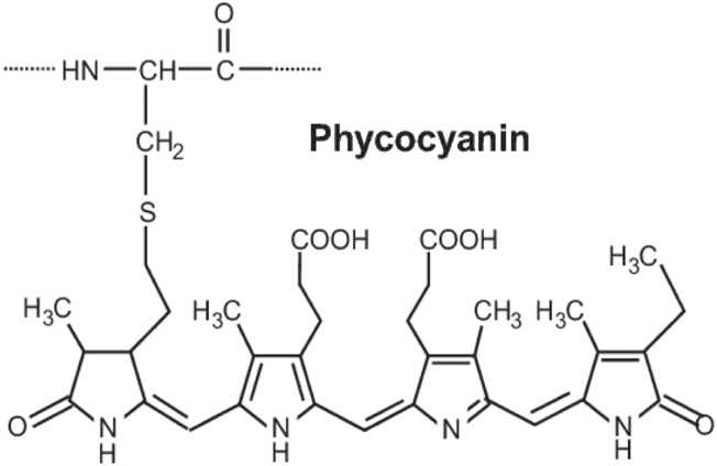 Figure 7