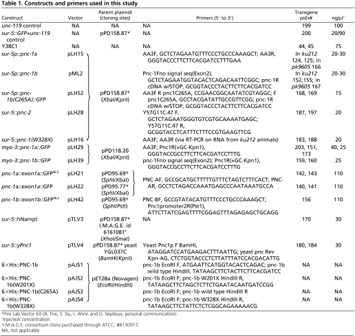 graphic file with name dev028431Table1.jpg