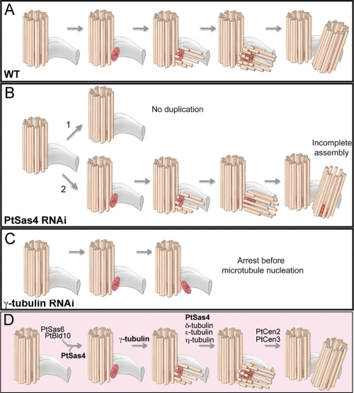 FIGURE 5: