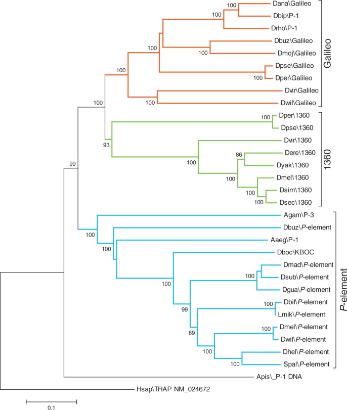 Fig. 7.—