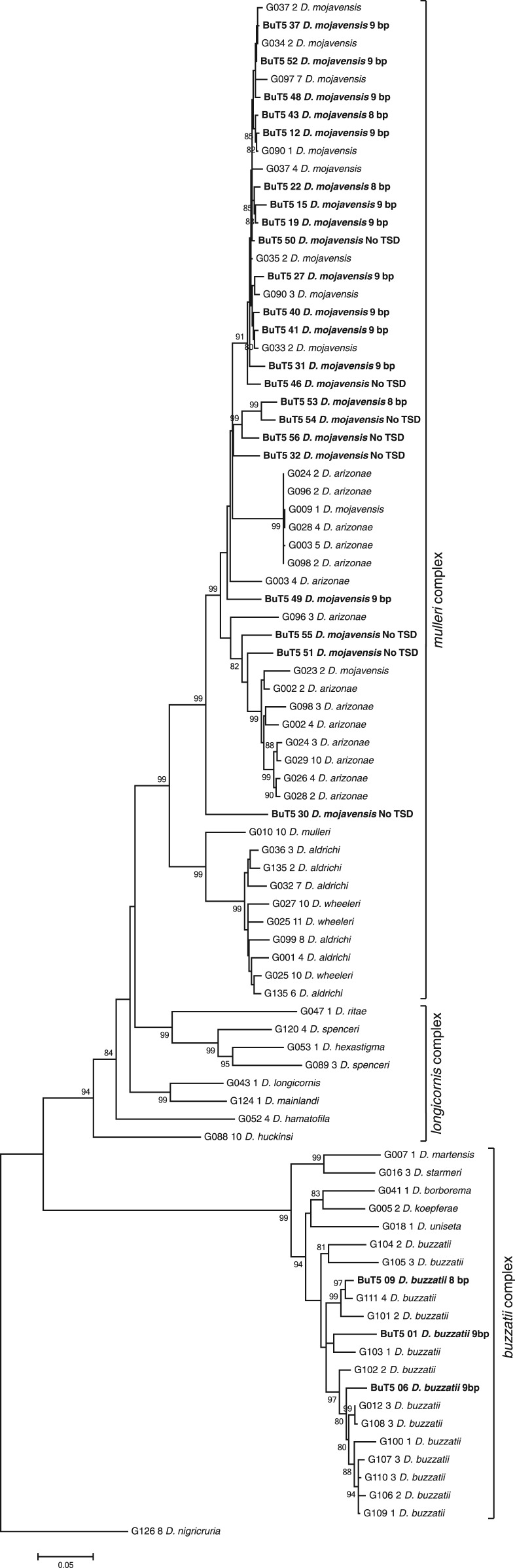 Fig. 4.—