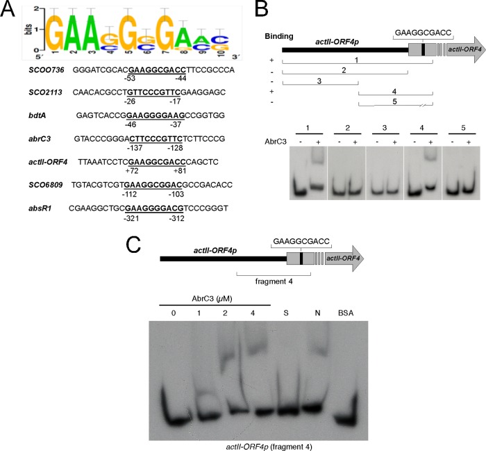 FIG 4