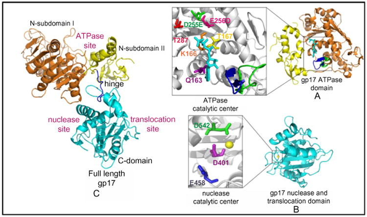 Figure 7