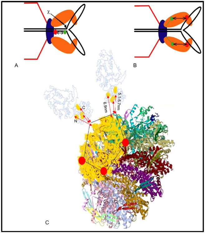 Figure 11