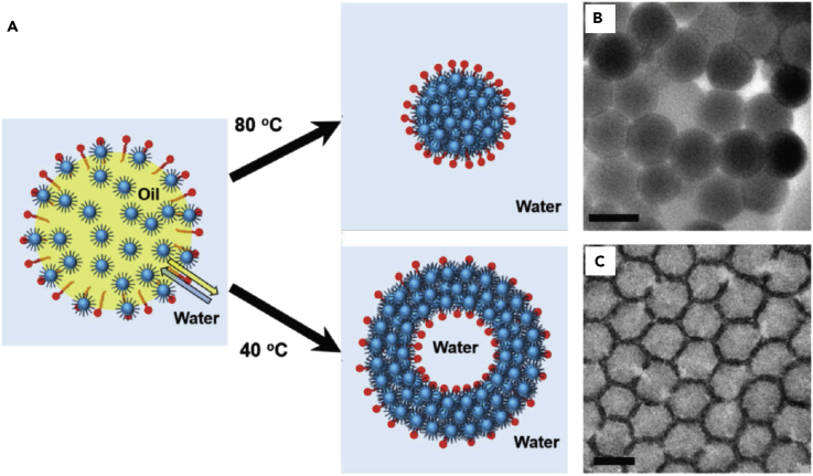 Figure 7