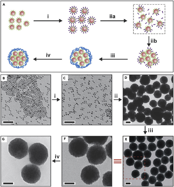 Figure 3