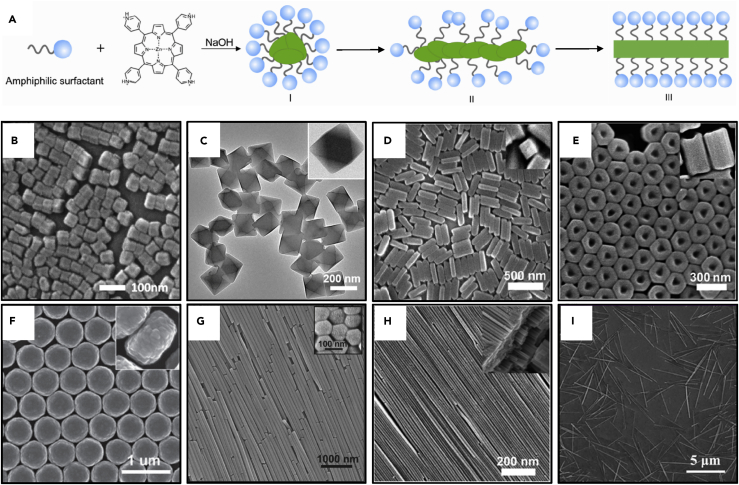 Figure 11