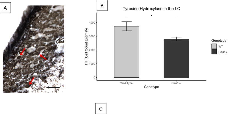 Figure 6.