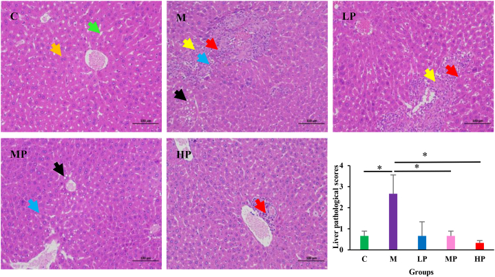 Fig. 3