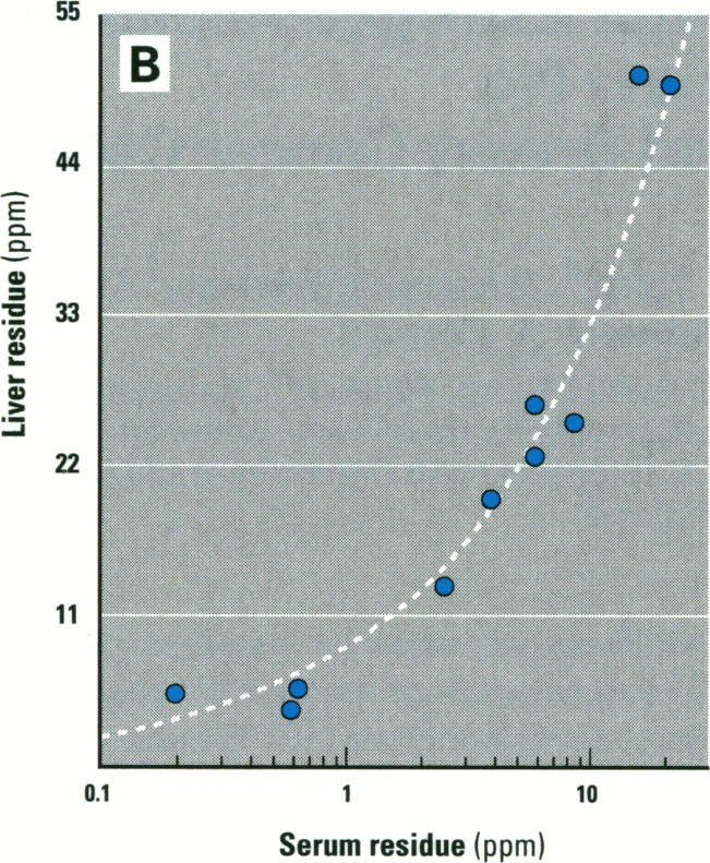 Figure 3. B