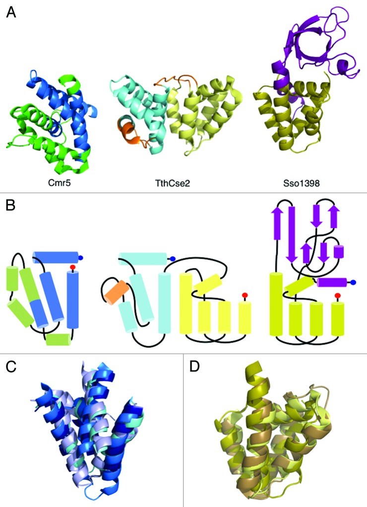 graphic file with name rna-10-762-g5.jpg