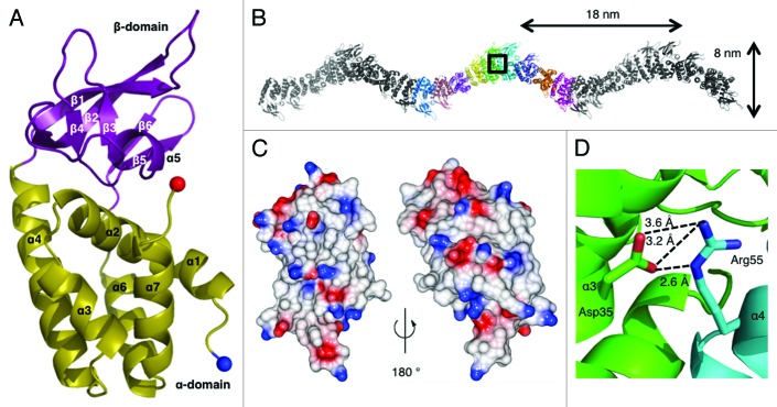 graphic file with name rna-10-762-g3.jpg