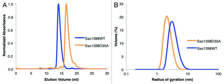 graphic file with name rna-10-762-g4.jpg