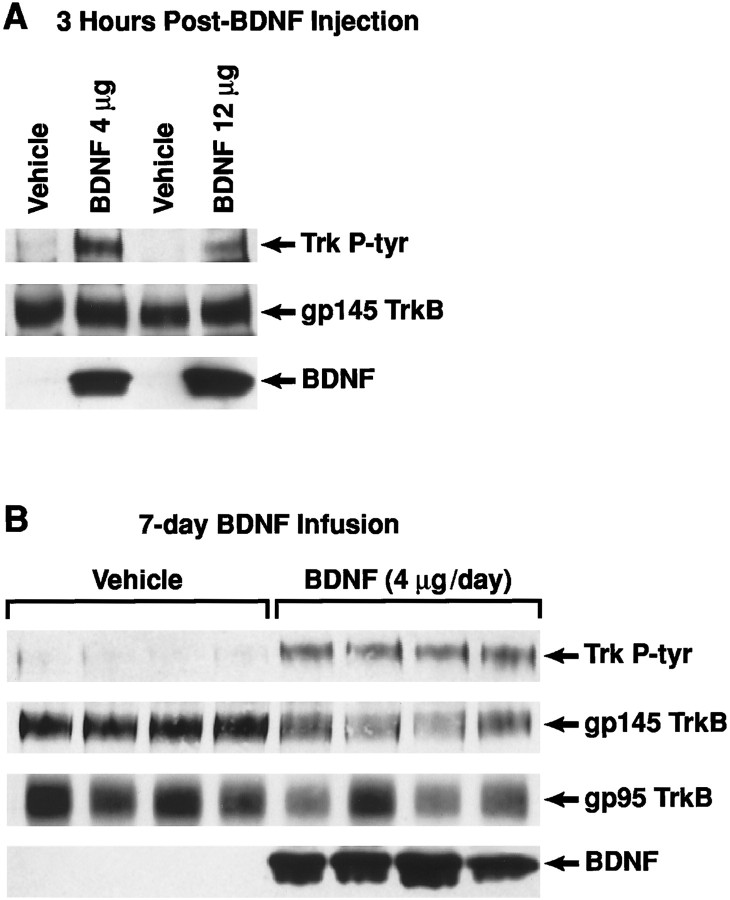 Fig. 10.