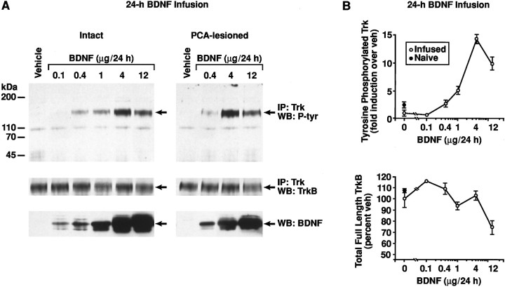 Fig. 9.