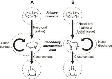 Fig. 7