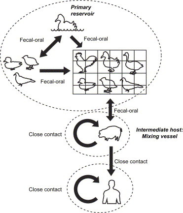 Fig. 6