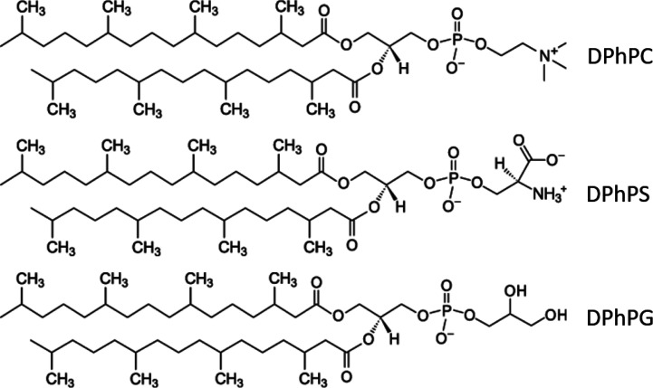 Figure S1.