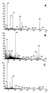 FIG. 1