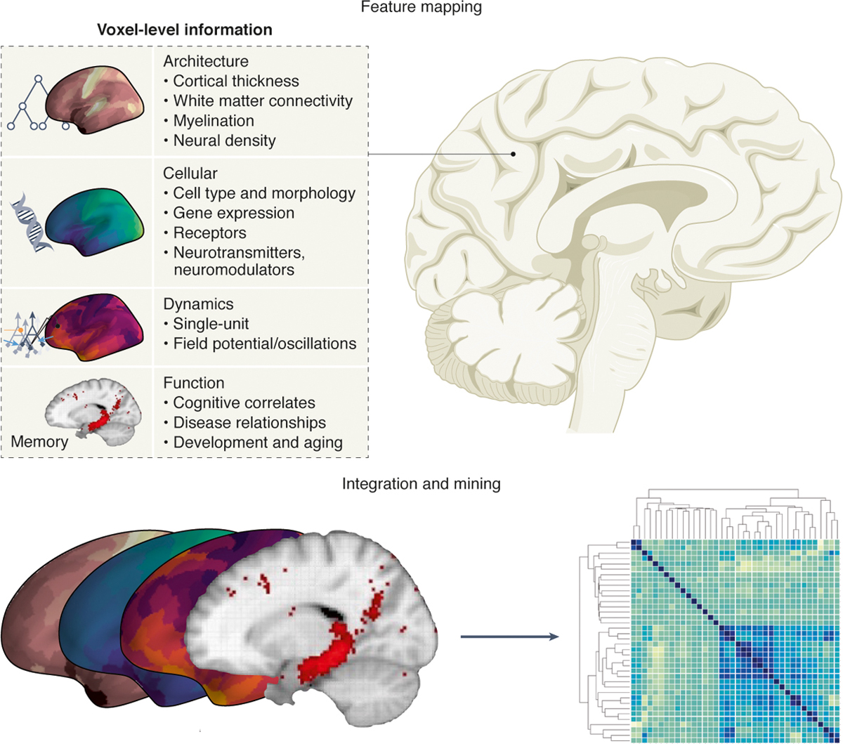 Figure 1|