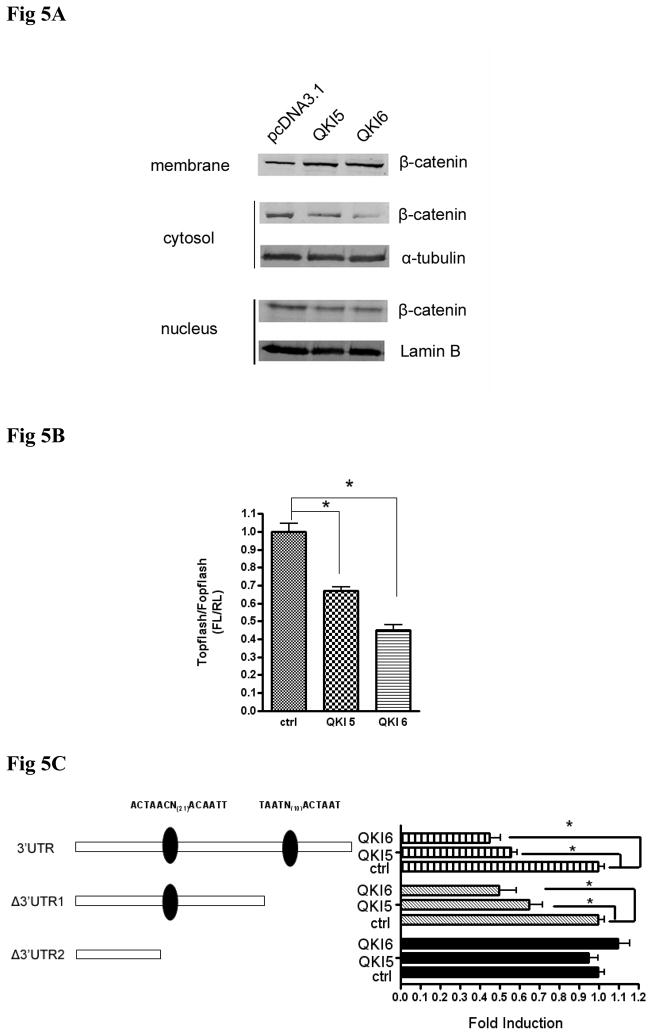 Fig 5