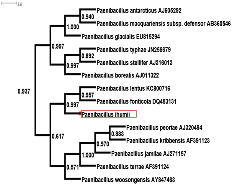 Fig. 4