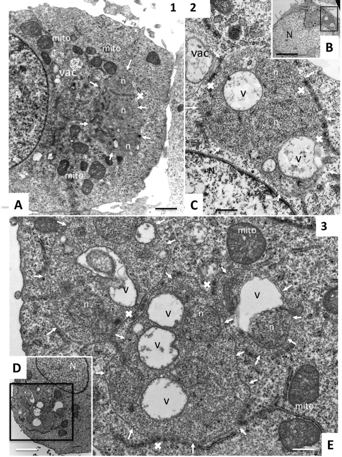 FIG 3