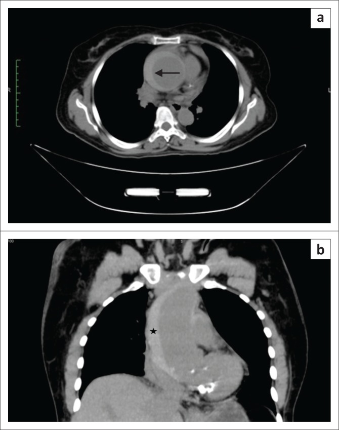 FIGURE 6