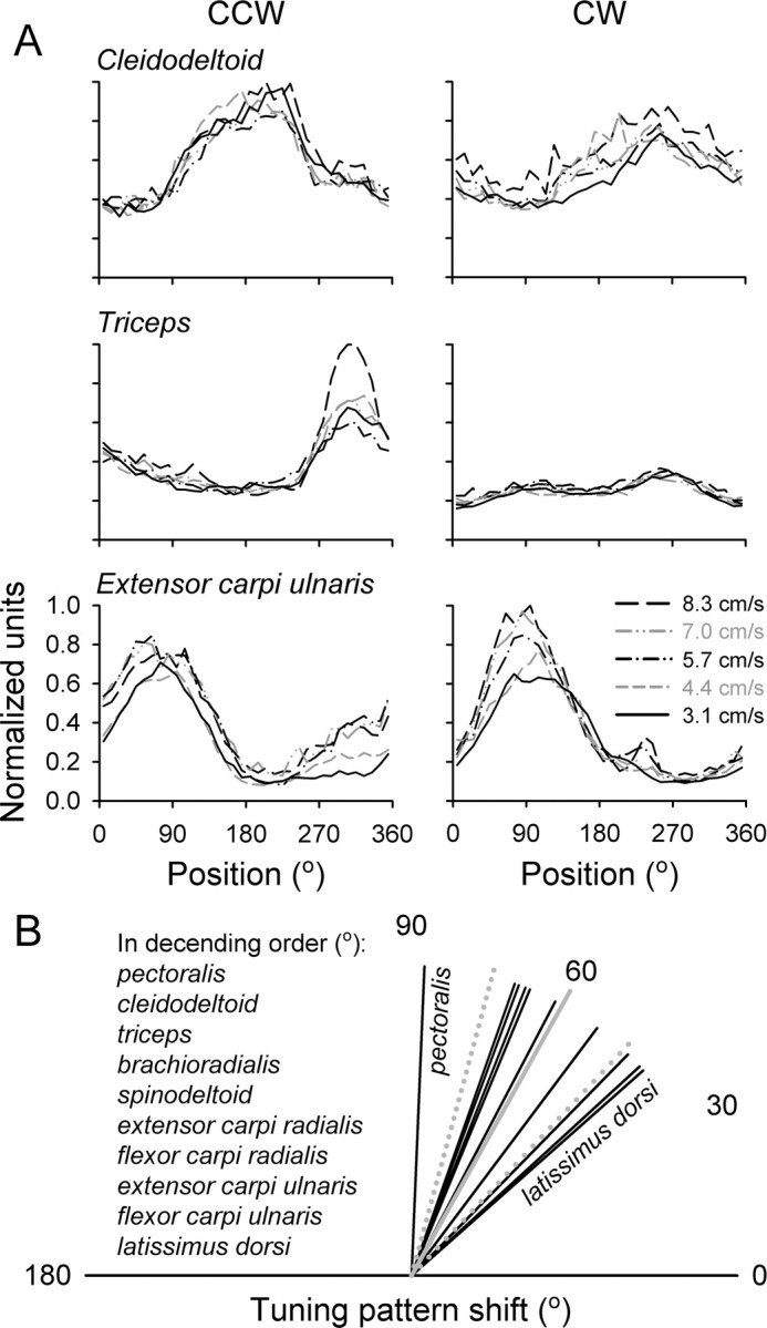 
Figure 11.
