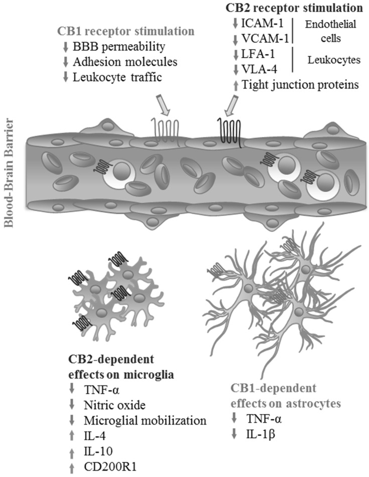 Fig. (1)