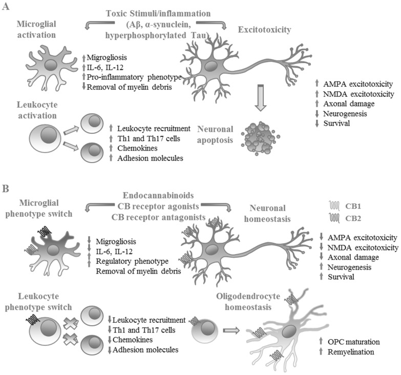 Fig. (2)