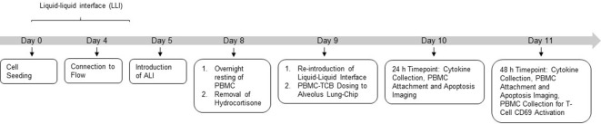 Figure 2—figure supplement 1.