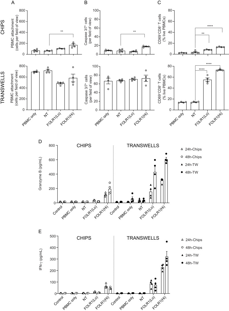 Figure 3—figure supplement 2.