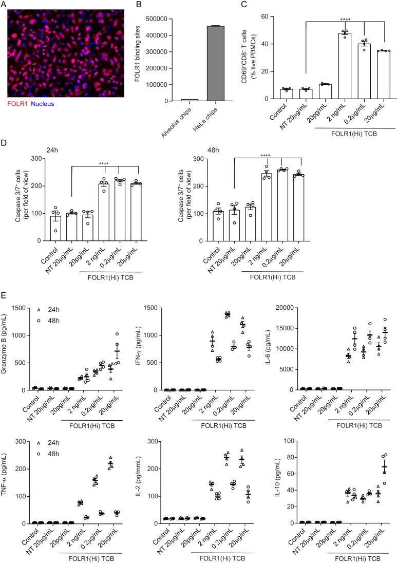 Figure 2—figure supplement 2.