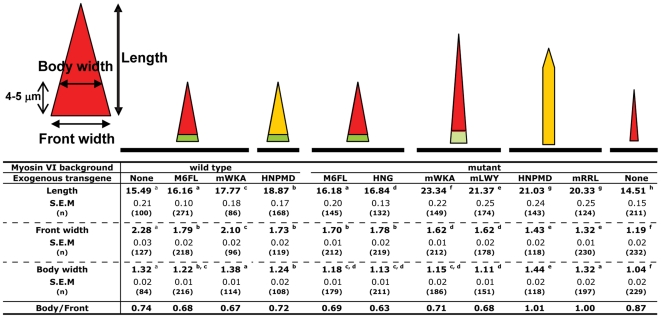 Figure 10