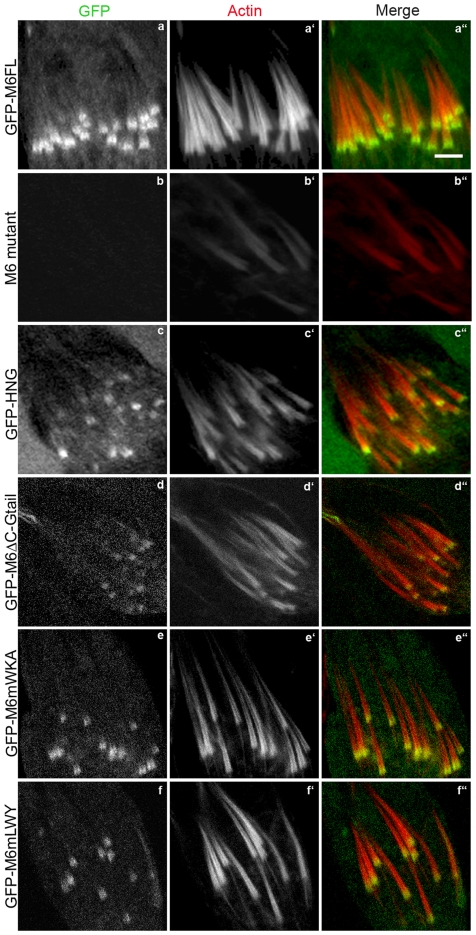 Figure 12