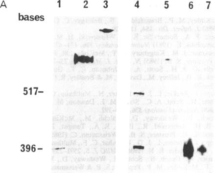 graphic file with name pnas01032-0105-a.jpg