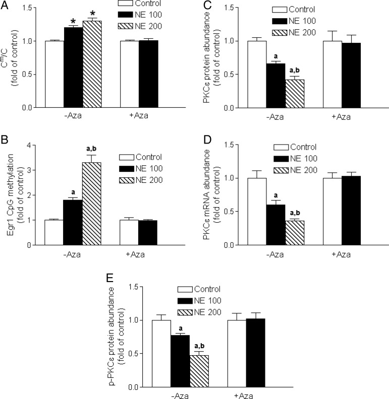 Figure 5