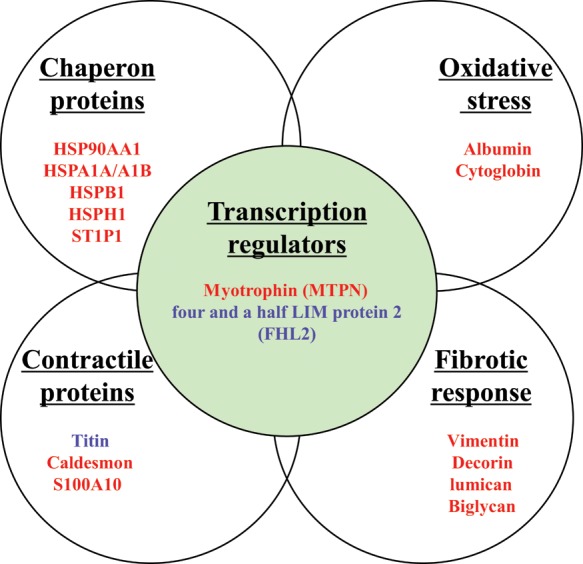 Figure 6