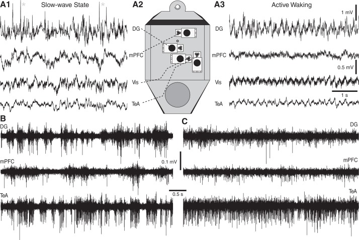 Fig. 6.