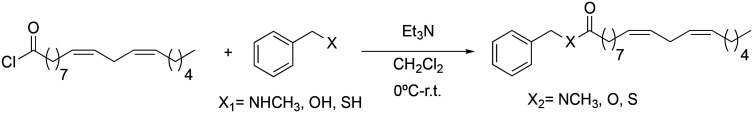 Scheme 4