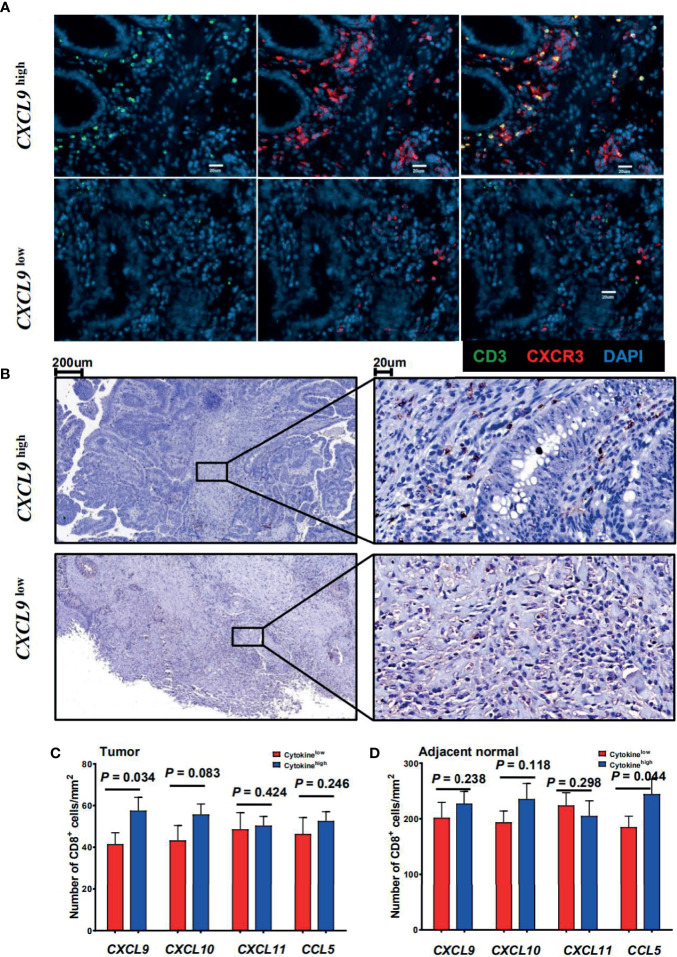 Figure 2