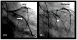 Figure 24