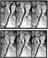 Figure 21