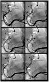 Figure 20