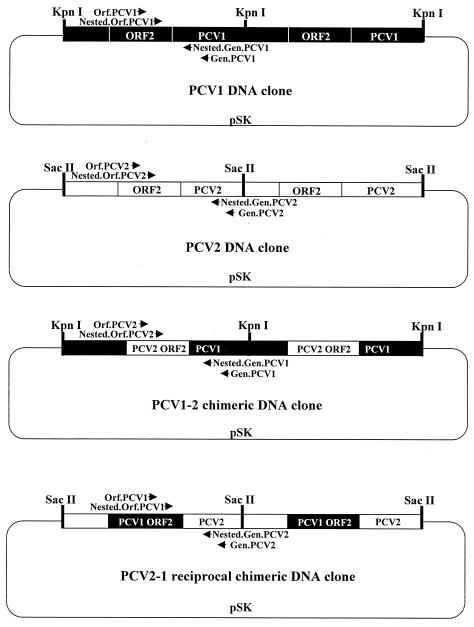 FIG. 1.