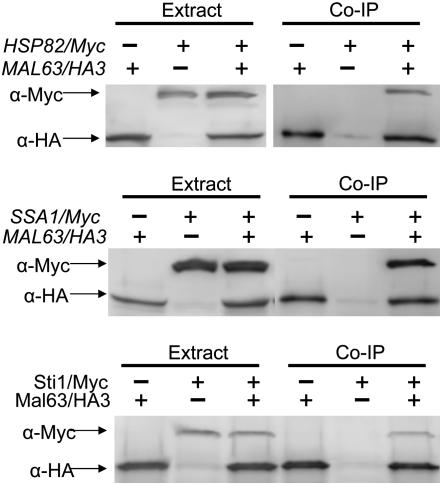 Figure 1.—